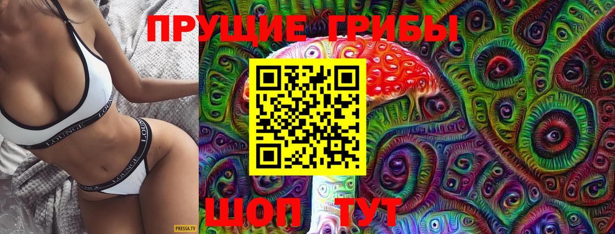 Галлюциногенные грибы Psilocybine cubensis Владивосток